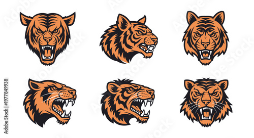 Six different tiger head illustrations.