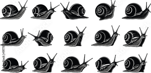 Snail silhouette set, garden mollusk collection, black slug icons, nature wildlife vector, slow animal illustration, gastropod shell, pest control design.