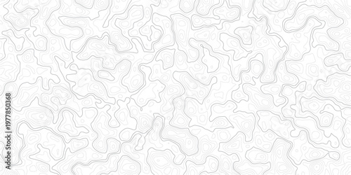 Gray abstract topographic map pattern with wavy lines and contours on white background_1