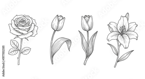 Black and white line drawing flowers.