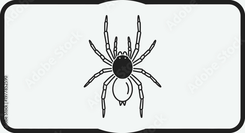 Black spider on white background closeup.