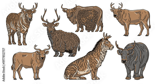 Group of various wild animals standing 1.