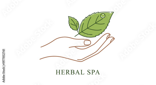 Hand holding green leaf herbal spa.
