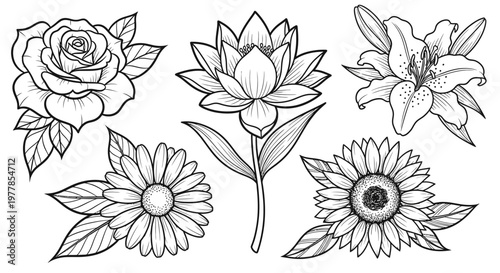 Black and white flowers illustrations set.