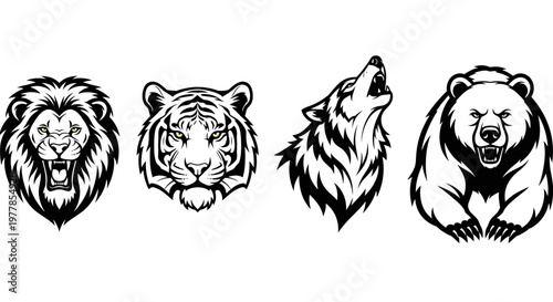 Lion tiger wolf bear animal heads.