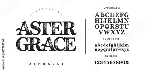 Aster Grace elegant sketched display font with hand drawn pencil texture and vintage artistic style for creative branding and book covers