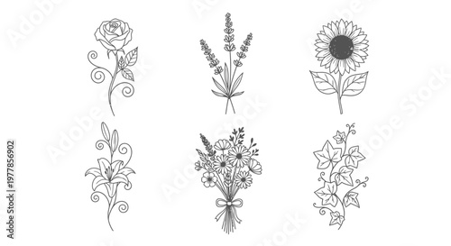 Collection of various floral illustrations.
