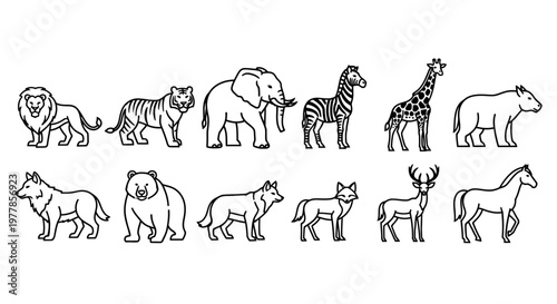 Collection of various wild animals standing 1.