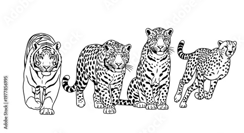 Four big cats walking together outside.