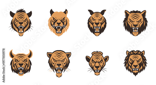 Collection of tiger and lion heads.