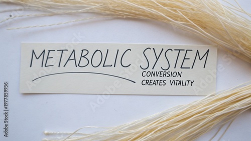 Metabolic System Concept with Text Showcasing Conversion Benefits for Energy and Vitality in Wellness Context