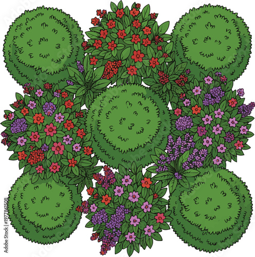 Isolated on Collection of round garden bushes and flowering shrubs in top view vector art on white background