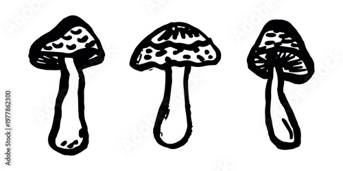 Hand drawn mushroom doodle set Botanical illustration Cute autumn mushroom Healthy eco food Organic vegetarian food For stickers, greeting card, design, print, packaging, decor, kids books