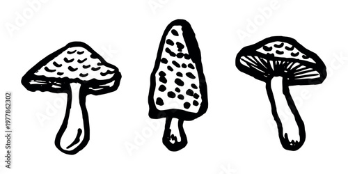 Hand drawn mushroom doodle set Botanical illustration Cute autumn mushroom Healthy eco food Organic vegetarian food For stickers, greeting card, design, print, packaging, decor, kids books
