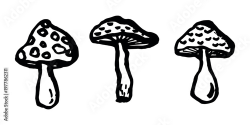 Hand drawn mushroom doodle set Botanical illustration Cute autumn mushroom Healthy eco food Organic vegetarian food For stickers, greeting card, design, print, packaging, decor, kids books