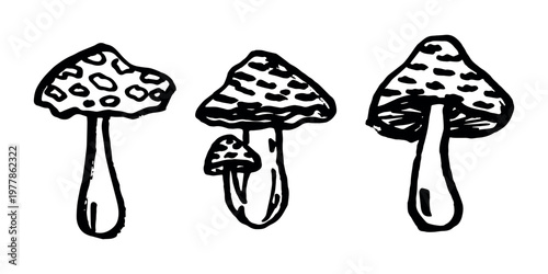 Hand drawn mushroom doodle set Botanical illustration Cute autumn mushroom Healthy eco food Organic vegetarian food For stickers, greeting card, design, print, packaging, decor, kids books