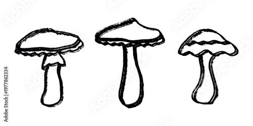 Hand drawn mushroom doodle set Botanical illustration Cute autumn mushroom Healthy eco food Organic vegetarian food For stickers, greeting card, design, print, packaging, decor, kids books