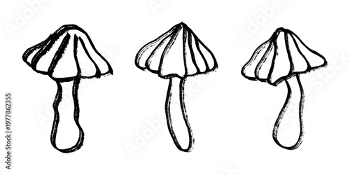 Hand drawn mushroom doodle set Botanical illustration Cute autumn mushroom Healthy eco food Organic vegetarian food For stickers, greeting card, design, print, packaging, decor, kids books