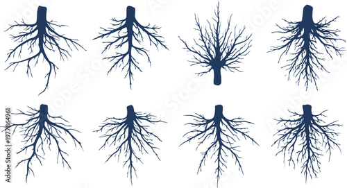 A simple black silhouette illustration of various trees and plants forming a natural forest pattern design