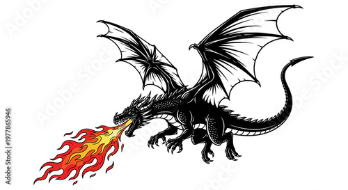 Black dragon breathing fire fiercely alone.