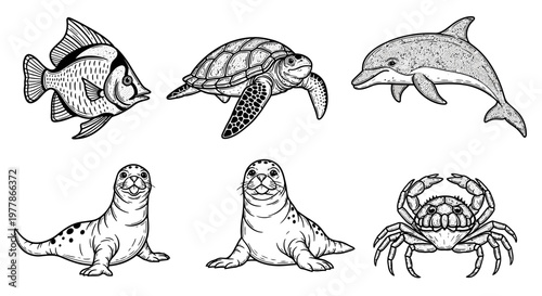Marine animals illustrations set 3.