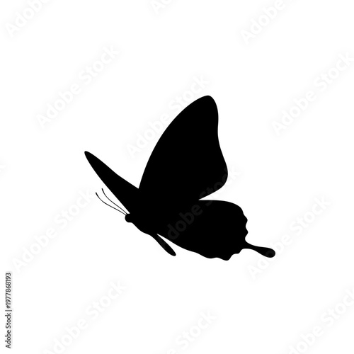 Black butterfly silhouette icon isolated on white background