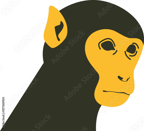 Zodiac Illustrtaion Icon Set