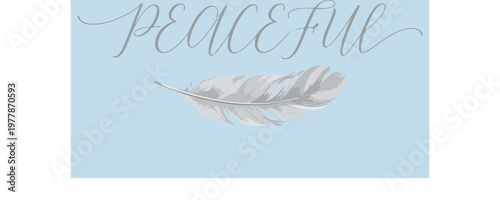 Feather Peaceful Light Background.