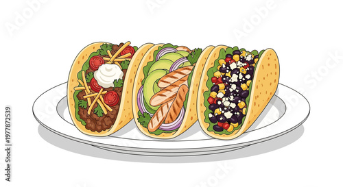 Three Delicious Tacos on a White Plate, Vector Illustration