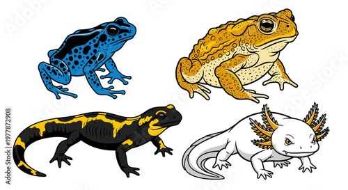 Colorful illustration of various frogs.