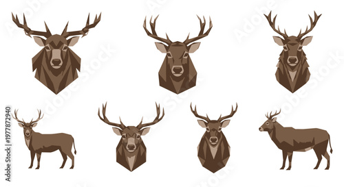 Deer Heads and Body Mounted Display.