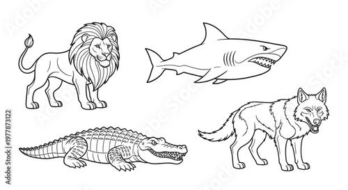 Lion shark crocodile wolf animals.