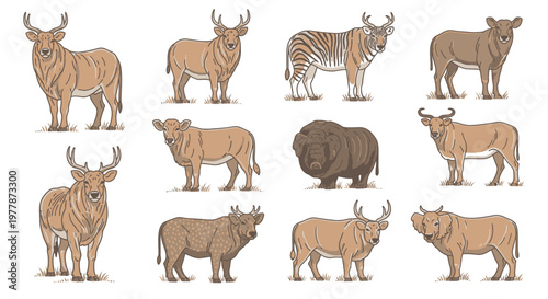 Various African savanna wildlife animals standing.