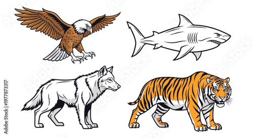 Wild animals eagle shark wolf tiger.