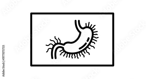 Stomach Bacteria Icon: Microbe Illustration on White Background