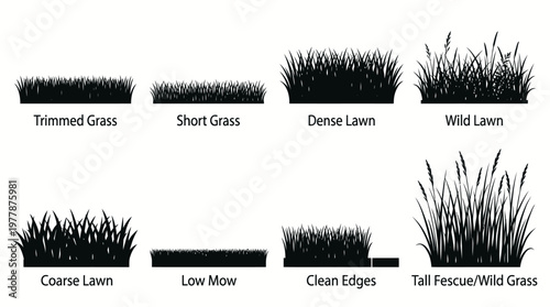 Collection of Grass Silhouette Vector Icons Including Trimmed Short Dense Wild Coarse Low Mow Clean Edges and Tall Fescue Wild Grass for Landscape Design Art.
