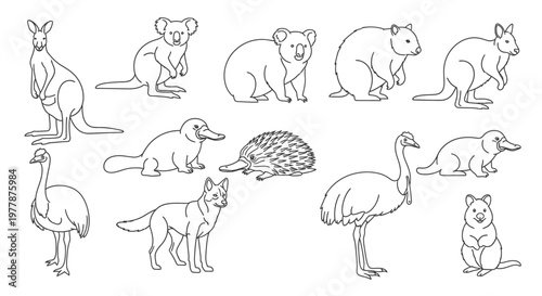 Collection of Australian native animals line art.