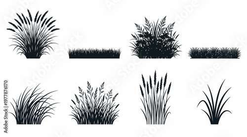 Set of black grass silhouettes on white background, including meadow grass, wild reeds, lawn tufts, and field plants for landscape design and graphic projects.