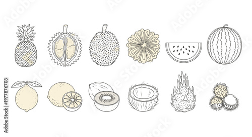 Variety of whole and cut fruits.