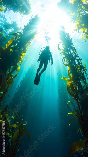 Diver Ascending Through Sunlit Kelp Forest in Clear Blue Ocean Waters.