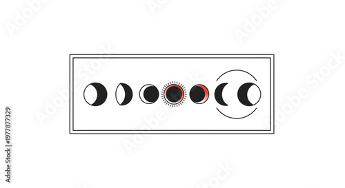 Phases of the Moon and Sun Cycle Illustration