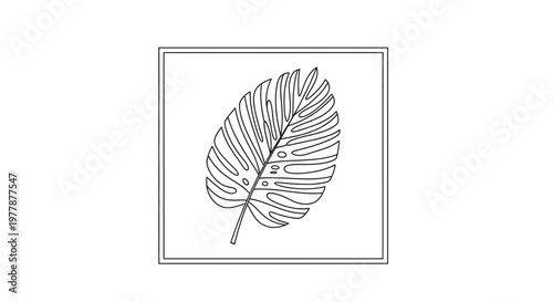 Monstera Leaf Outline Drawing, Tropical Plant Silhouette, Vector Art