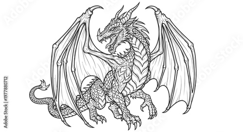 Dragon Mythical Creature Fantasy Animal.