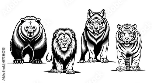 Four big cats and bear standing 1.