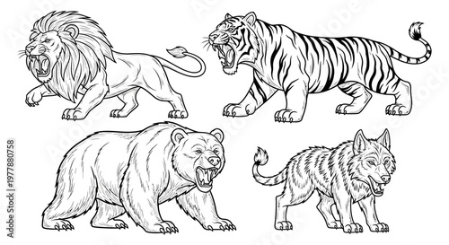 Four big cats walking side by side.