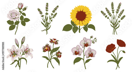 Variety of colorful flower types.