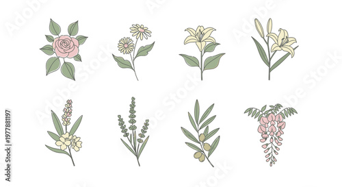 Variety of flowers and leaves.