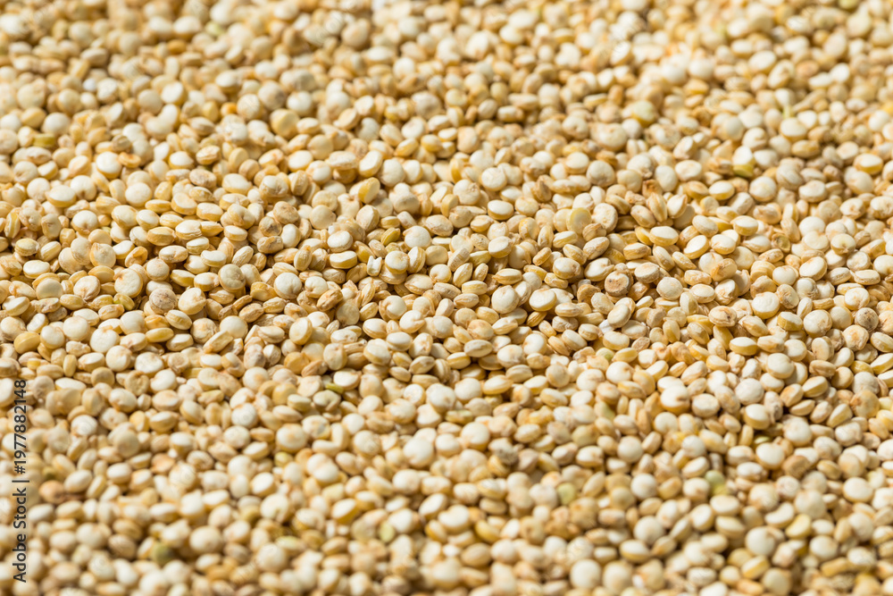 Fototapeta premium Organic Raw Dry White Qunoa Grain