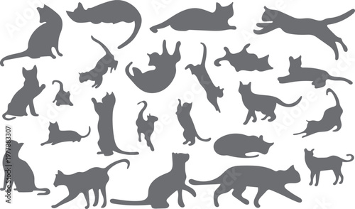Large set of Grey Cat silhouettes in various feline poses, isolated on white background, Neutral kitten shapes collection for pet care and veterinary design.