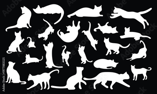 Large set of White Cat silhouettes on black background, Vector feline shapes for high-contrast pet designs and nocturnal animal themes, Professional kitten icons.